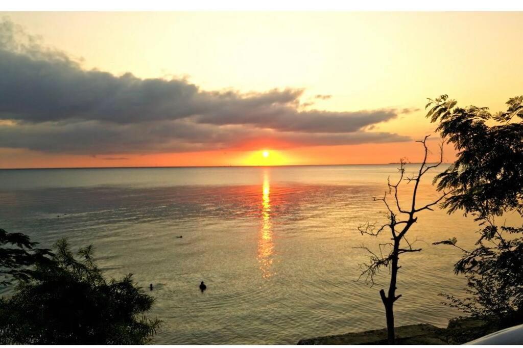 Lägenhet The Cliff Beach Zanzibar